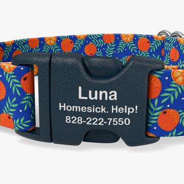 closeup of buckle personalization